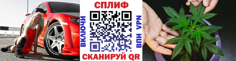 Канабис планчик  даркнет Telegram  Мензелинск  закладка 